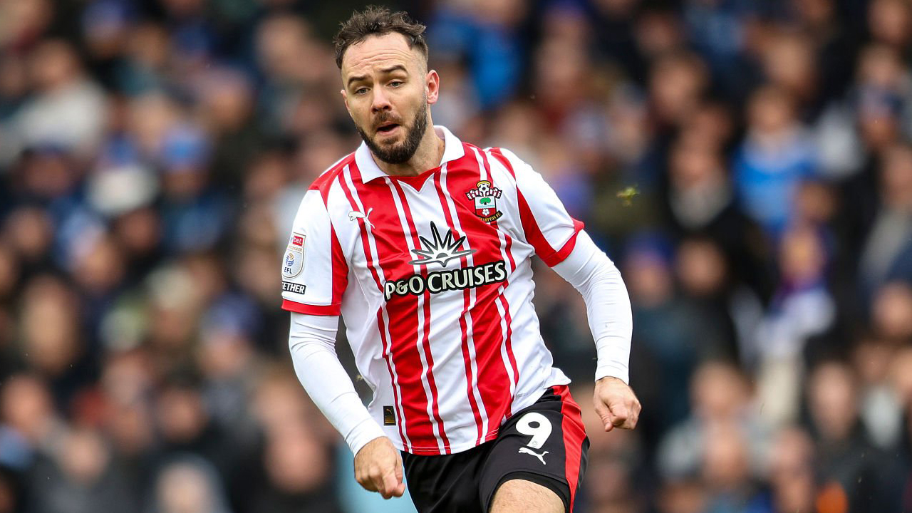 Adam Armstrong Resmi Jadi Andalan Baru Wolves di Lini Depan