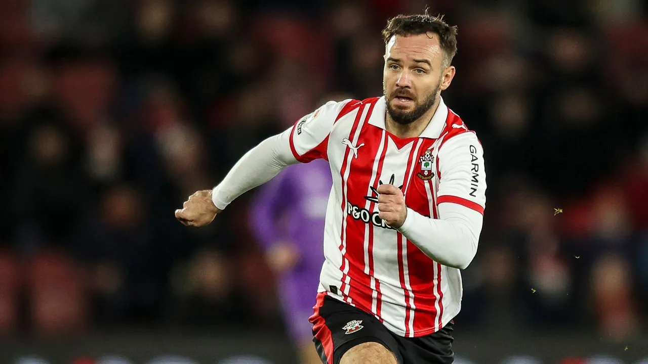 Adam Armstrong resmi ke Wolves.