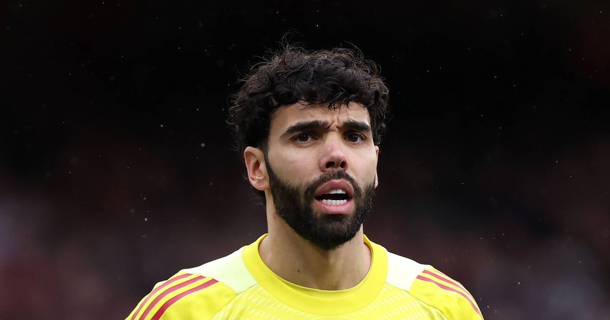 Perubahan Drastis David Raya Pasca Cedera Wajah 2018