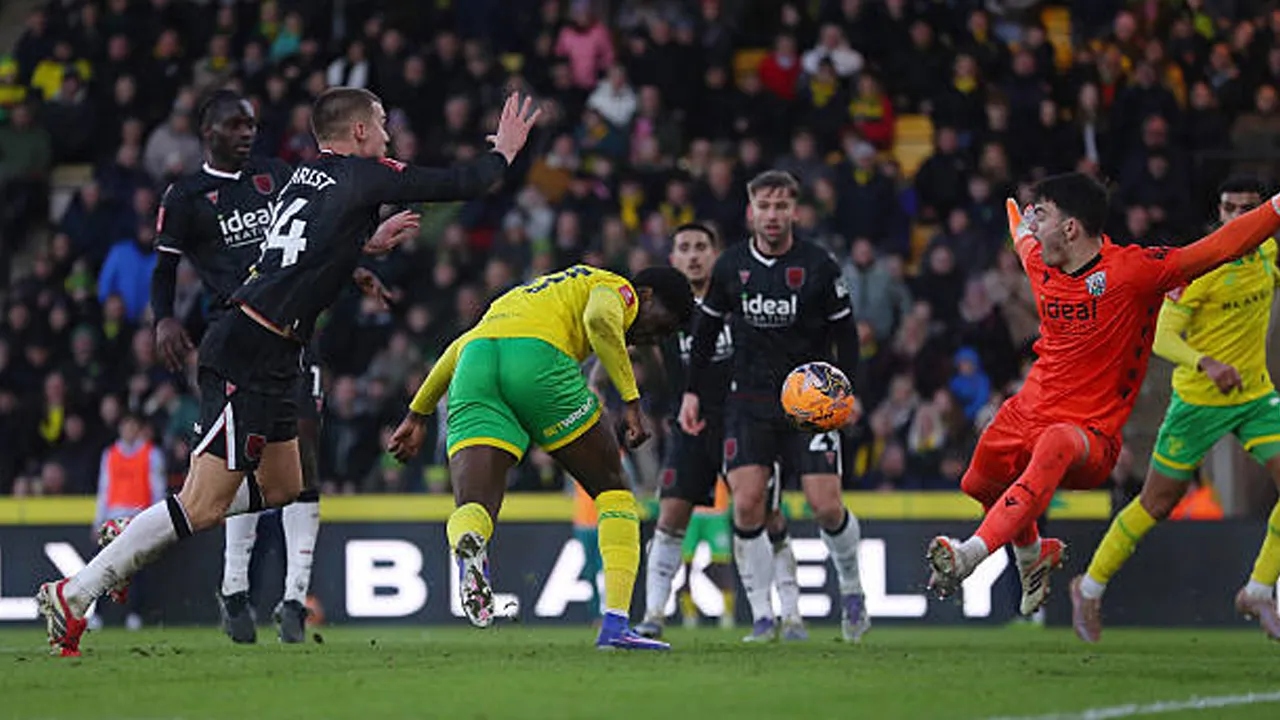 Hasil Pertandingan Piala FA: Norwich City 3-1 West Bromwich Albion
