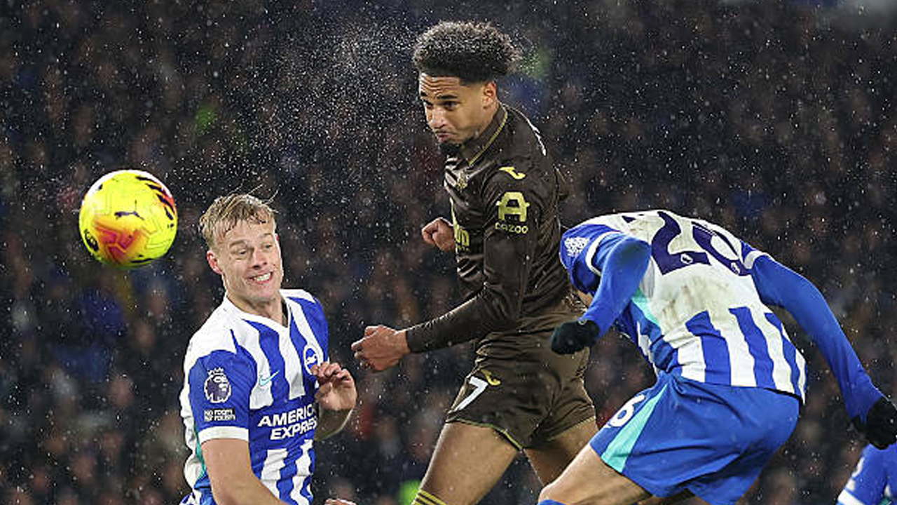 Brentford vs Brighton, 5 Fakta Menarik Jelang Laga Premier League