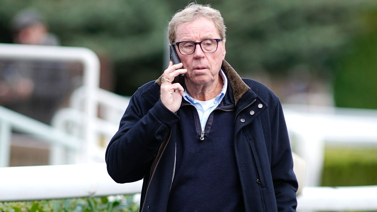 Harry Redknapp Tak Tertarik Kembali ke Spurs Meski Klub Terancam Degradasi