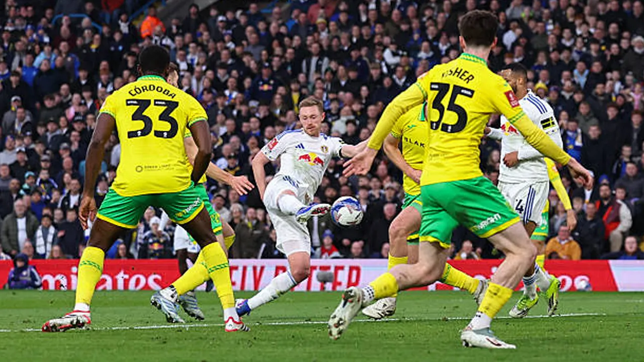 Hasil Pertandingan Piala FA: Leeds United 3-0 Norwich City