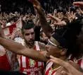 Crvena Zvezda Kembali ke Jalur Kemenangan Usai Libas Paris Basketball