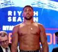 Anthony Joshua Siapkan Duel Lawan Wilder Sebelum Hadapi Fury