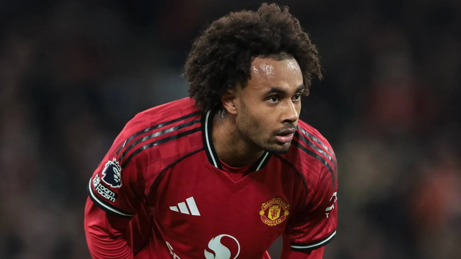 Manchester United Didesak Tuntaskan Pertukaran Bintang ‘Luar Biasa’ dengan Zirkzee - sumber: (givemesport)