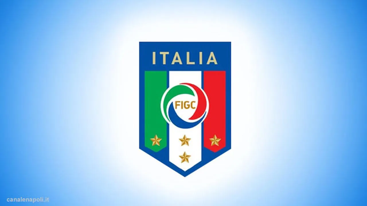 Serie A Didominasi Pemain Asing, AIC Desak FIGC Segera Cari Solusi