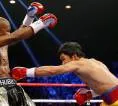 Manny Pacquiao Tuduh Mayweather Jr Ketakutan Jelang Duel Rematch