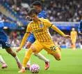 Catatan Statistik Jelang Laga Brighton vs Chelsea di Premier League