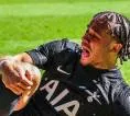 Eks Striker Ungkap Alasan Mengejutkan di Balik Krisis Cedera Tottenham