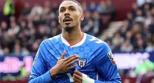 Profil Pemain Kunci Jelang Laga Wolves vs Sunderland di Premier League