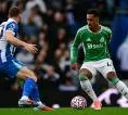 Newcastle United vs Brighton, 5 Fakta Menarik Jelang Laga Premier League