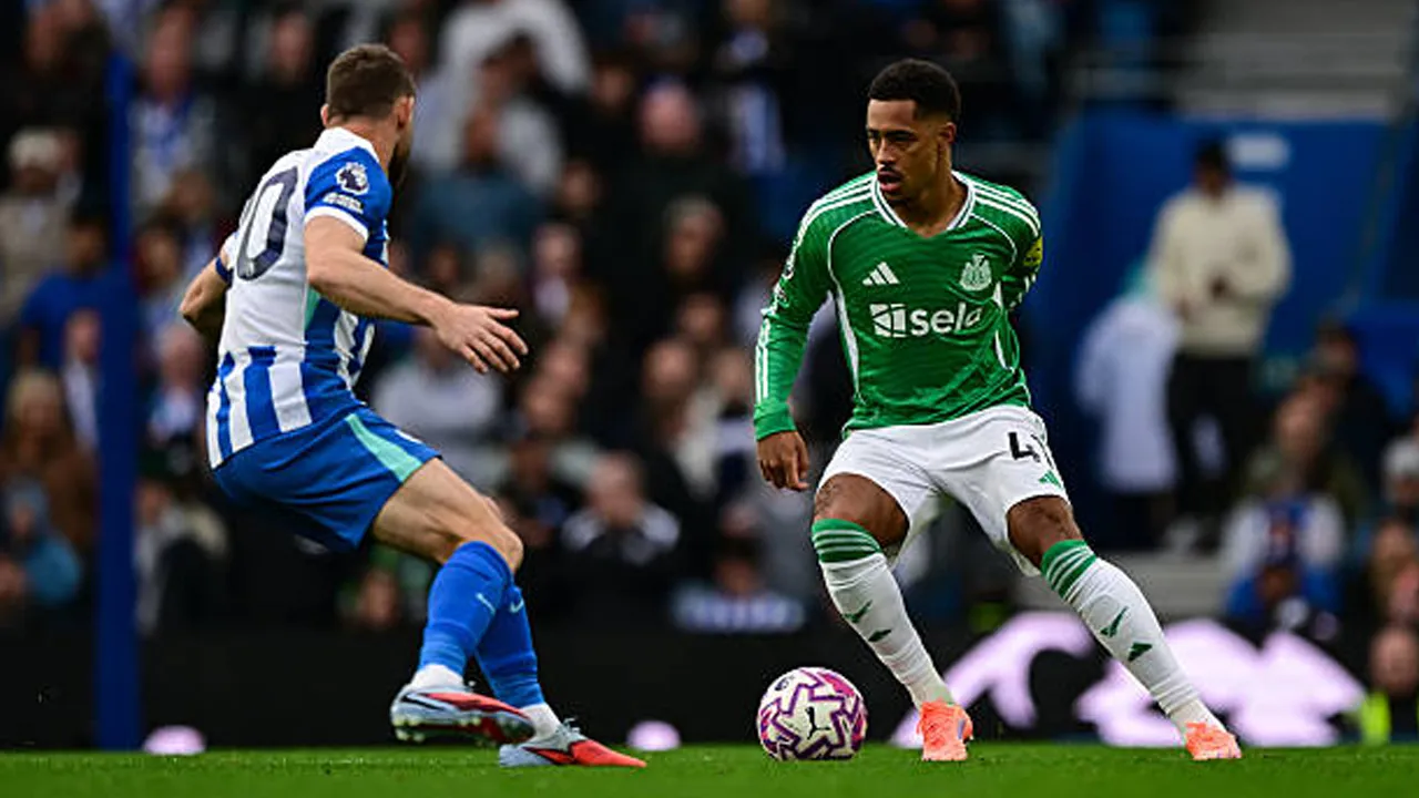Newcastle United vs Brighton, 5 Fakta Menarik Jelang Laga Premier League