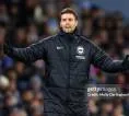 Fabian Hurzeler Puas dengan Energi Brighton Jelang Lawan Newcastle