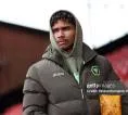 Rob Edwards Siapkan Pedro Lima Jadi Andalan Wolves
