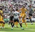 Tumbang dari Newcastle, Fabian Hurzeler Nilai Brighton Kehilangan Struktur