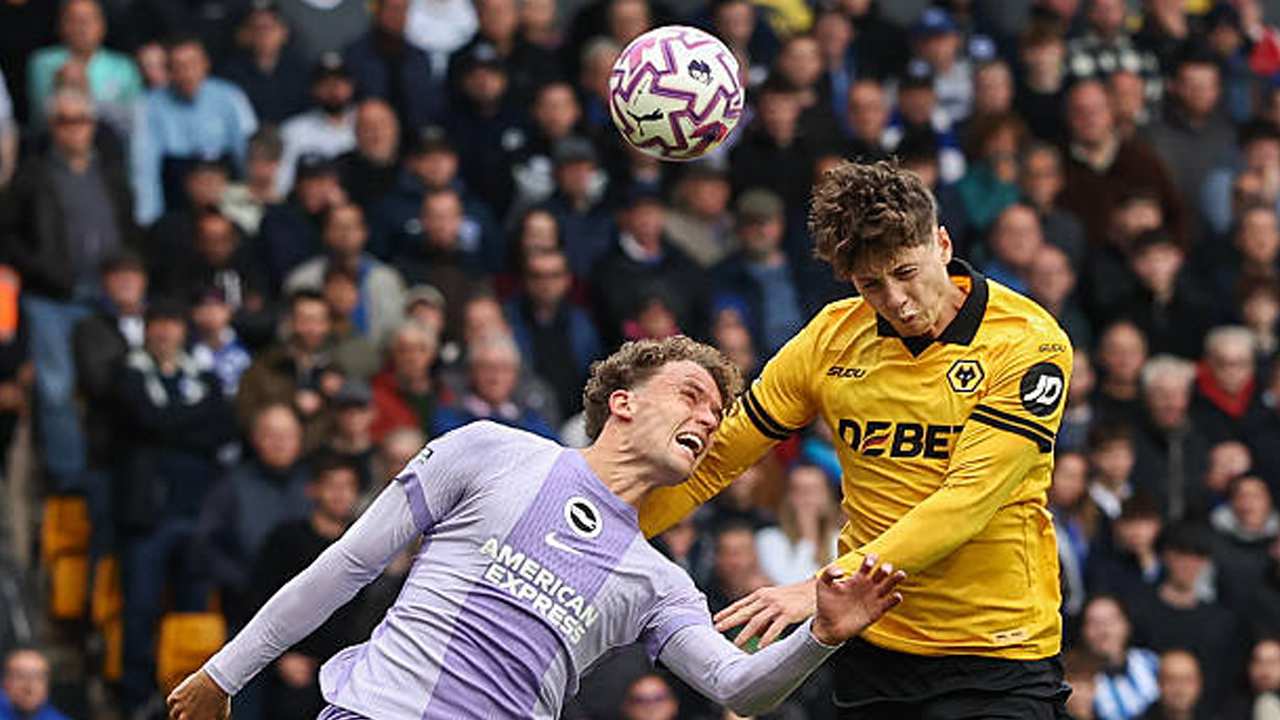 Brighton vs Wolves, 5 Fakta Menarik Jelang Laga Premier League
