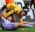 Catatan Statistik Jelang Laga Brighton vs Wolves di Premier League