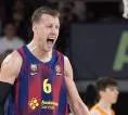 Jan Vesely Mengumumkan Pensiun dari Dunia Basket