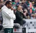 Daniel Thioune Akui Dortmund Lebih Efektif Saat Tumbangkan Bremen