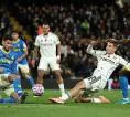 Wolverhampton Wanderers vs Fulham, 5 Fakta Menarik Jelang Laga Premier League