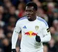 Freiburg Coba Angkut Wilfried Gnonto dari Leeds United