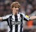 Sudah Punya Luis Diaz, Danny Murphy Terkejut Bayern Tertarik Boyong Gordon