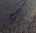 Autodromo Ayrton Senna Ditutup Lagi untuk Perbaikan Aspal