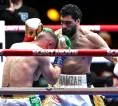 Hamzah Sheeraz Rebut Gelar Lowong WBO Usai Hentikan Alem Begic di Mesir