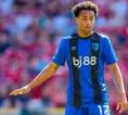 Bournemouth Cetak Sejarah, Tyler Adams Sebut Tiket Eropa Sangat Istimewa
