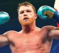 Canelo Alvarez Ditawari 200 Juta Dolar untuk Satu Laga