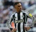 Jacob Ramsey Kritik Mentalitas Newcastle United Musim Ini