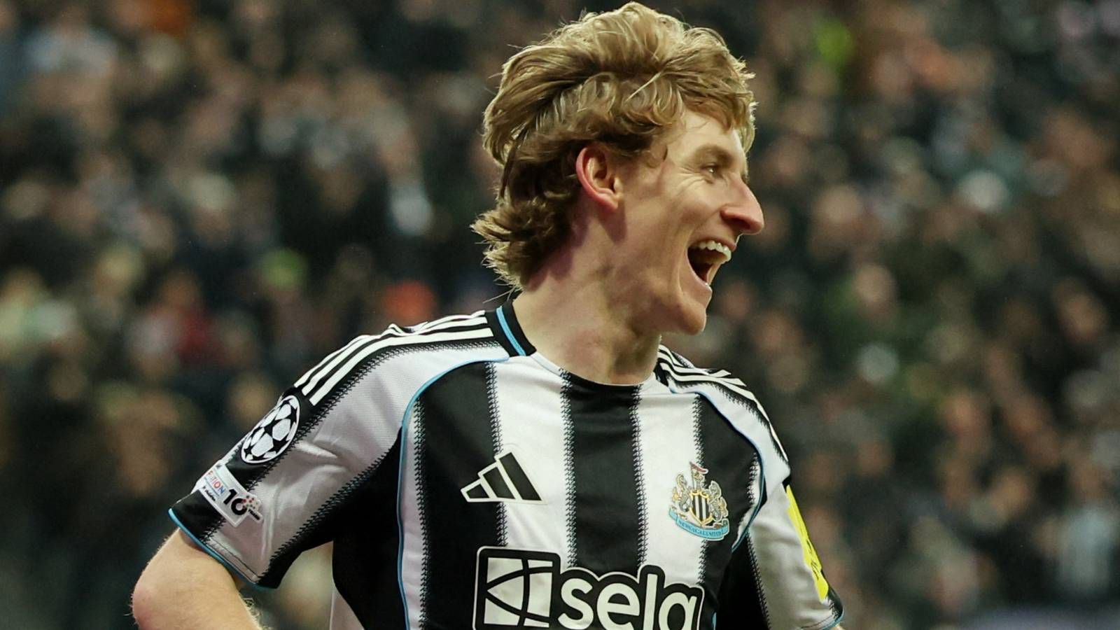 Newcastle Siap Gaet Pemain Top Dunia Tanpa Hambatan