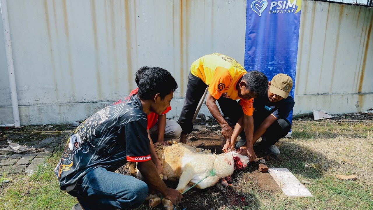 PSIM Jogja Rawat Kebersamaan Lewat Agenda Kurban Iduladha di Wisma Klub