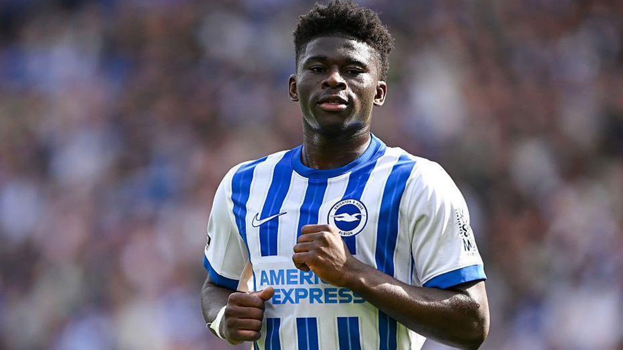 Tottenham Salip Man United Dalam Perburuan Bintang Brighton