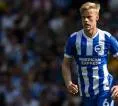 Tottenham Hotspur Ajukan Tawaran untuk Jan Paul van Hecke