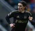 Gratis Berkualitas, Tottenham Hotspur Lirik Harry Wilson