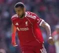 Tottenham Siapkan Tawaran untuk Rekrut Cody Gakpo dari Liverpool