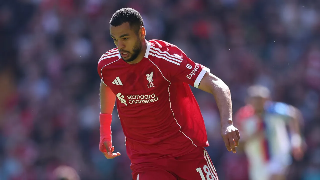Tottenham Siapkan Tawaran untuk Rekrut Cody Gakpo dari Liverpool