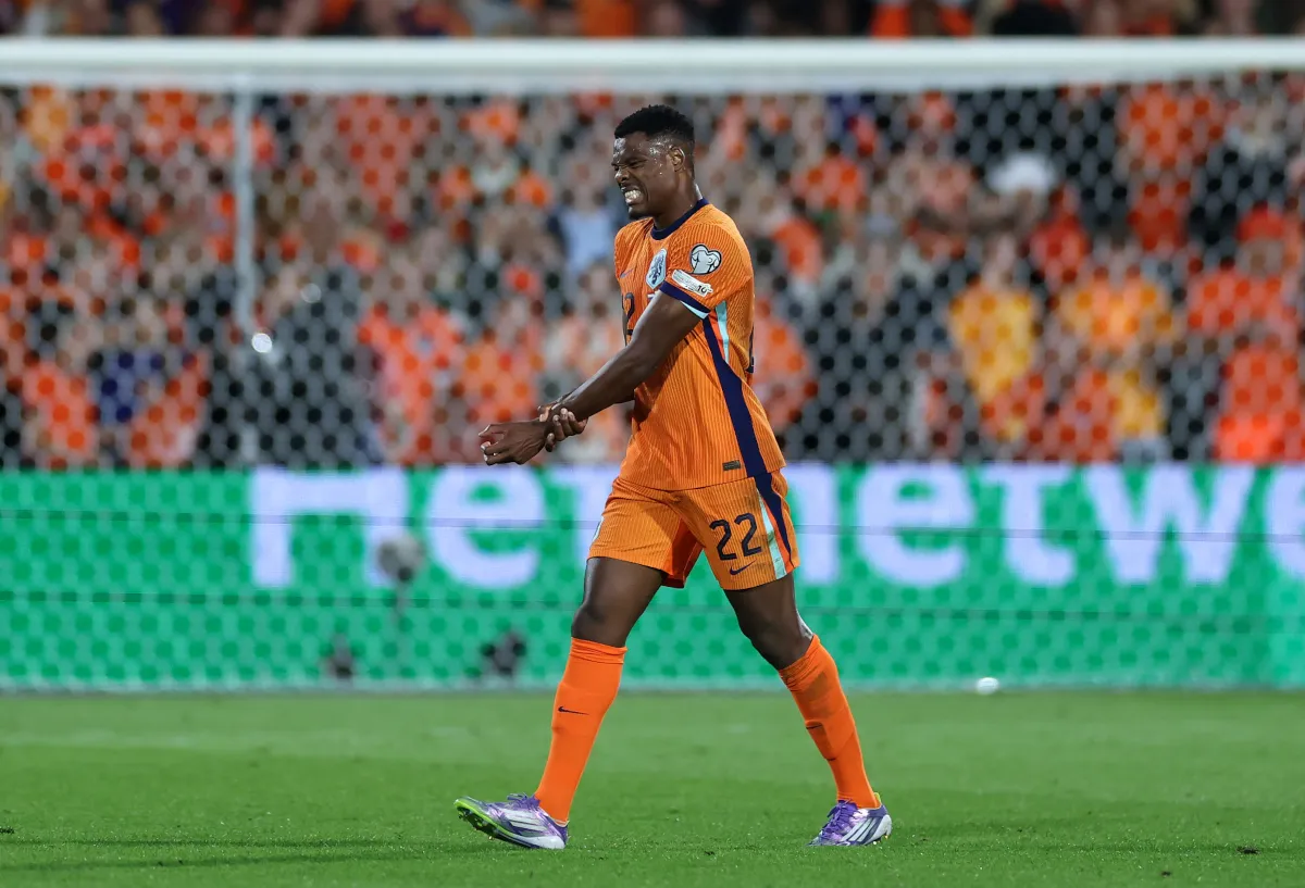Susunan Pemain Belanda vs Jepang: Malen dan Dumfries Jadi Starter, Suzuki Jaga Gawang - sumber: (footballitalia)