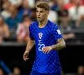Luka Vuskovic Ajukan Permintaan Transfer di Tengah Ketertarikan Brighton