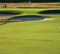 Wyndham Clark Kuasai US Open 2026, Rival Sampai Belajar dari Siaran TV