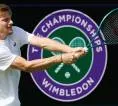 Peluang David Goffin Tertutup Untuk Lakoni Wimbledon Pamungkas