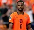 Tottenham Serius Kejar Cody Gakpo, Tapi Harga Jadi Kendala
