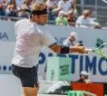 Alejandro Davidovich Fokina Bendung Laju Grigor Dimitrov Di Mallorca