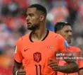 Cody Gakpo Tetap Bela Belanda Meski Kehilangan Calon Anak