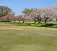 Presiden AS Ingin Sulap East Potomac Jadi Lapangan Golf Kelas Dunia