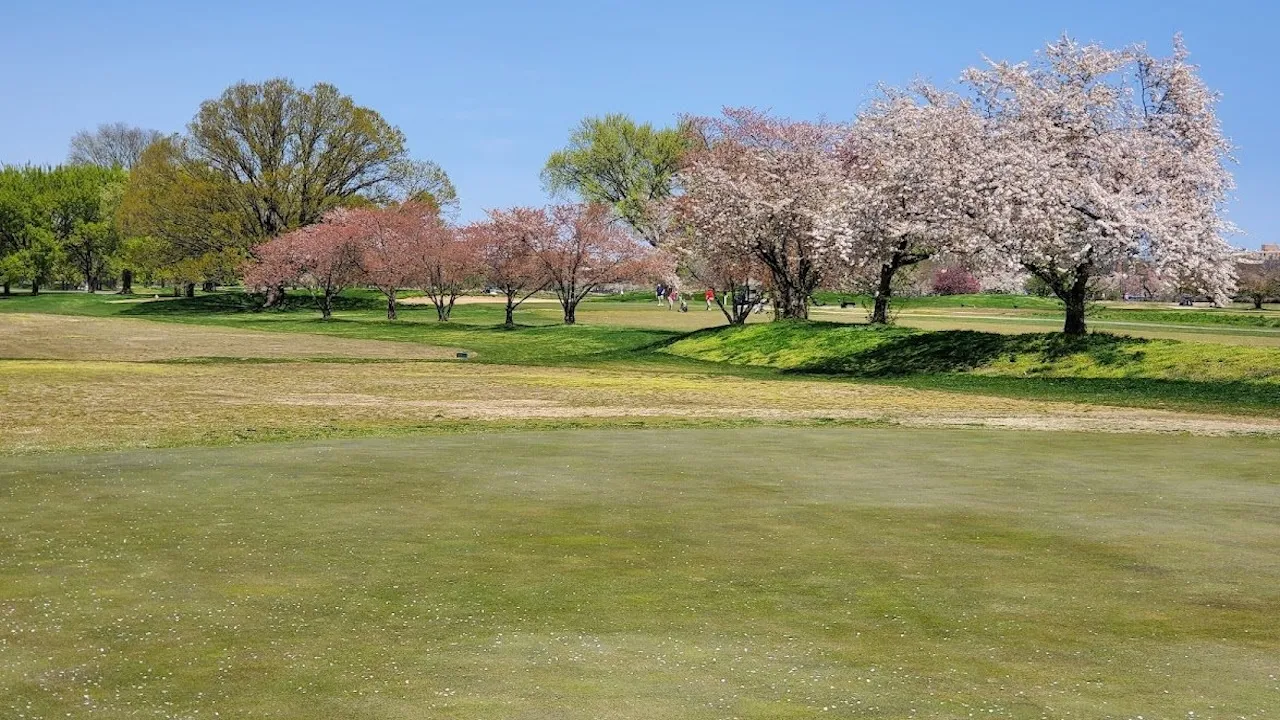 East Potomac Golf Links