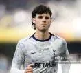 Newcastle United Tetap Bidik Archie Gray usai Penolakan Tottenham
