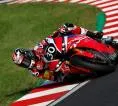 Jonathan Rea Antarkan Tim Honda HRC Menangkan Suzuka 8 Hours